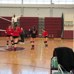 Meet your Posher, Lilly